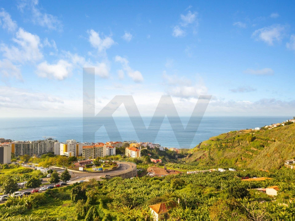 Terreno para Venda em São Martinho Foto 13