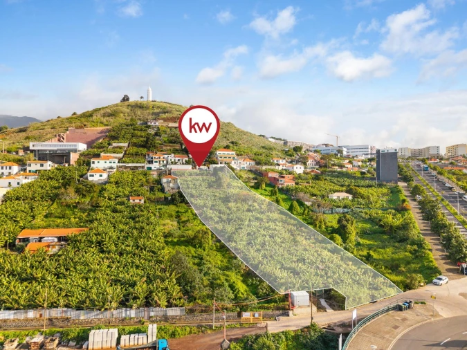 Terreno para Venda em São Martinho Foto 7