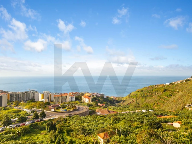 Terreno para Venda em São Martinho Foto 13