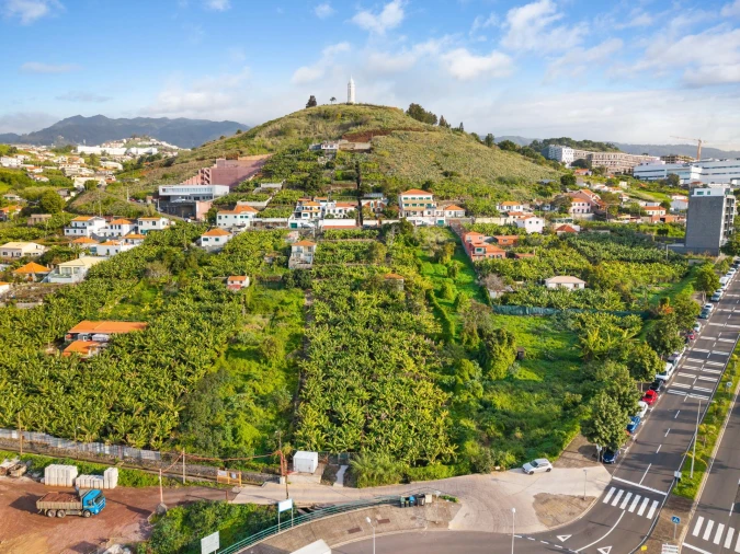 Terreno para Venda em São Martinho Foto 6