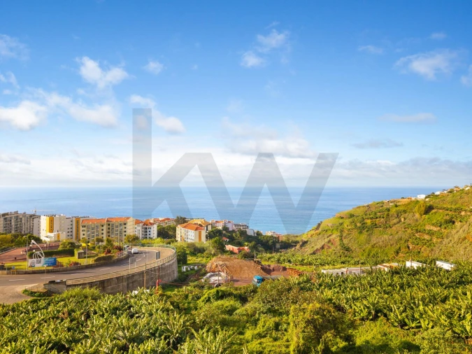 Terreno para Venda em São Martinho Foto 11