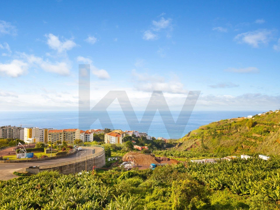 Terreno para Venda em São Martinho Foto 11