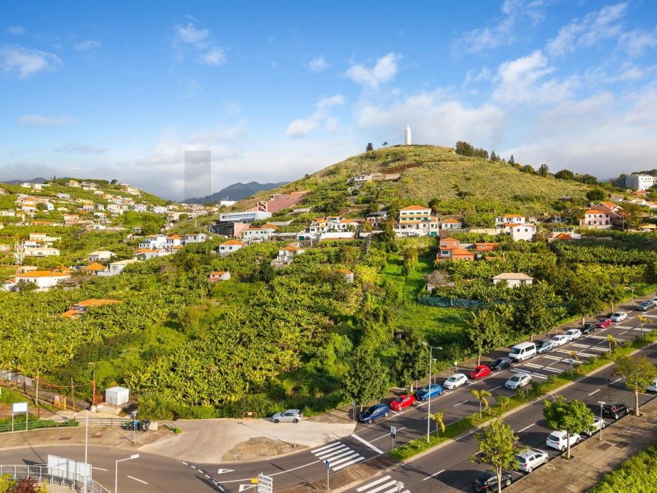 Terreno para Venda em São Martinho Foto 10