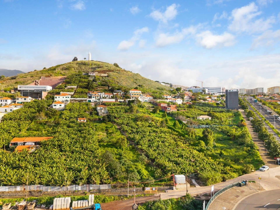 Terreno para Venda em São Martinho Foto 8