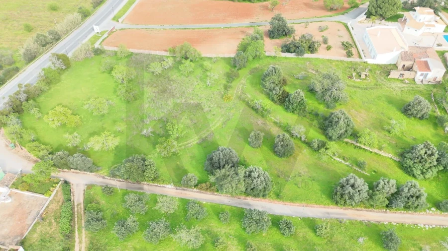 Terreno para Venda em Alcantarilha e Pêra Foto 17
