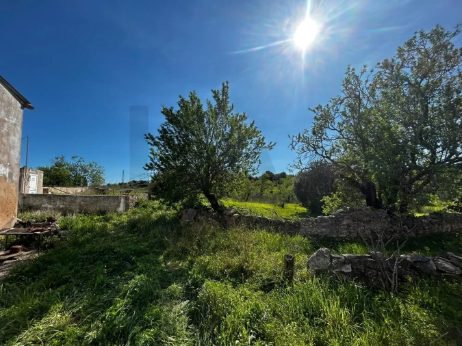 Terreno para Venda em Alcantarilha e Pêra Foto 4