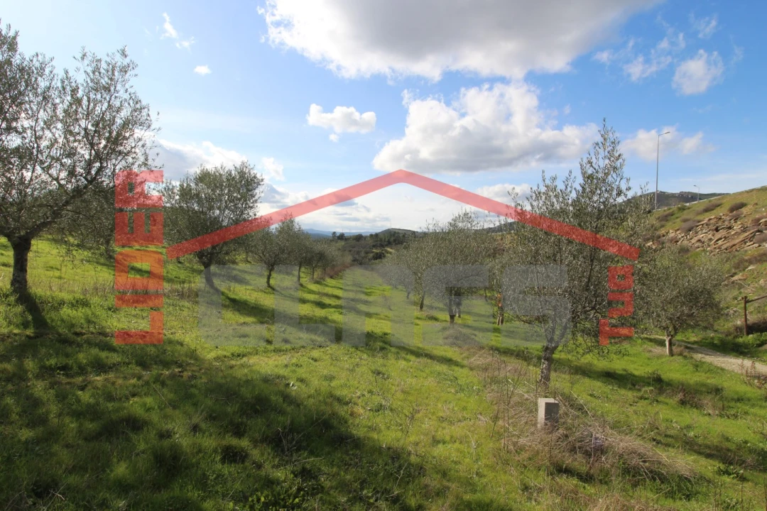 Terreno Agricola ou Rústico para Venda em Franco e Vila Boa Foto 3