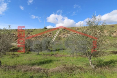 Terreno Agricola ou Rústico para Venda em Franco e Vila Boa