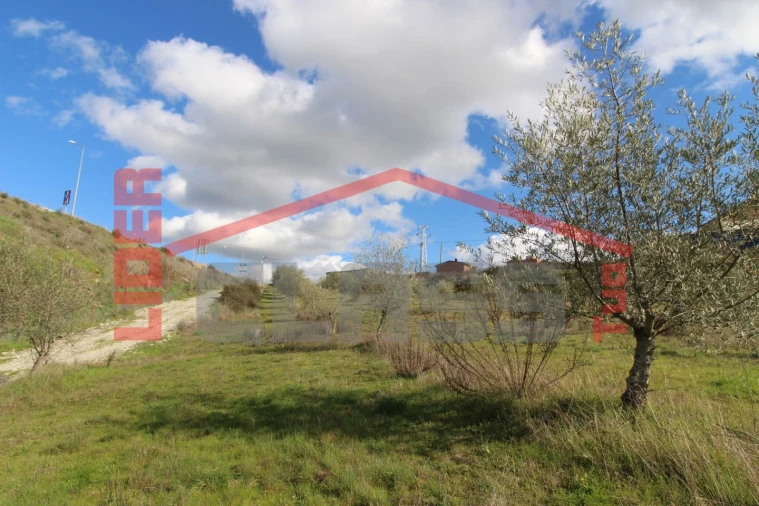 Terreno Agricola ou Rústico para Venda em Franco e Vila Boa Foto 2
