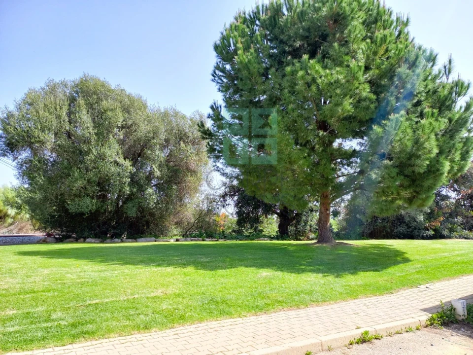 Apartamento T2 para Venda em Tavira (Santa Maria e Santiago) Foto 9