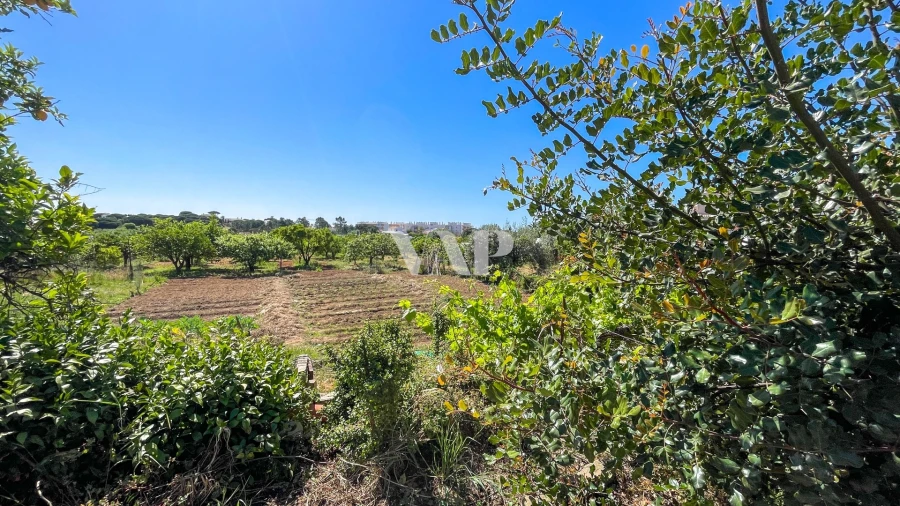 Moradia T8 para Venda em Quarteira Foto 30