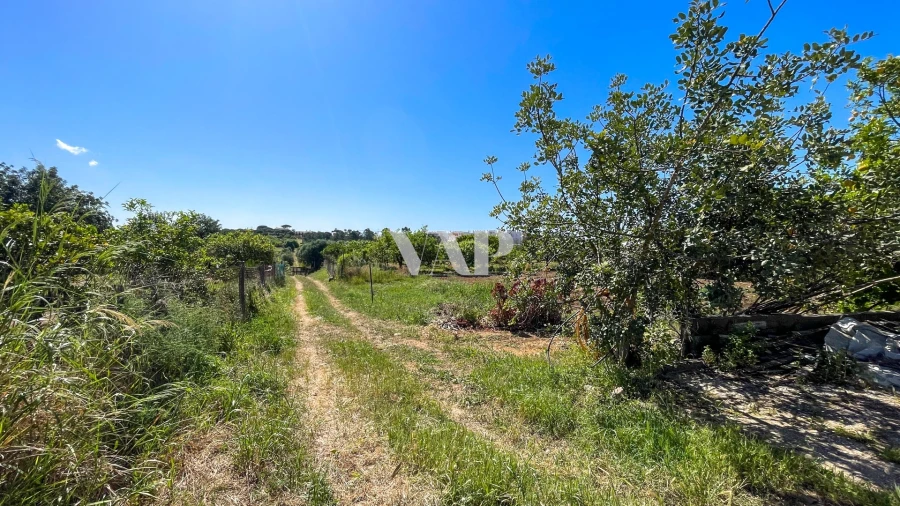 Moradia T8 para Venda em Quarteira Foto 27