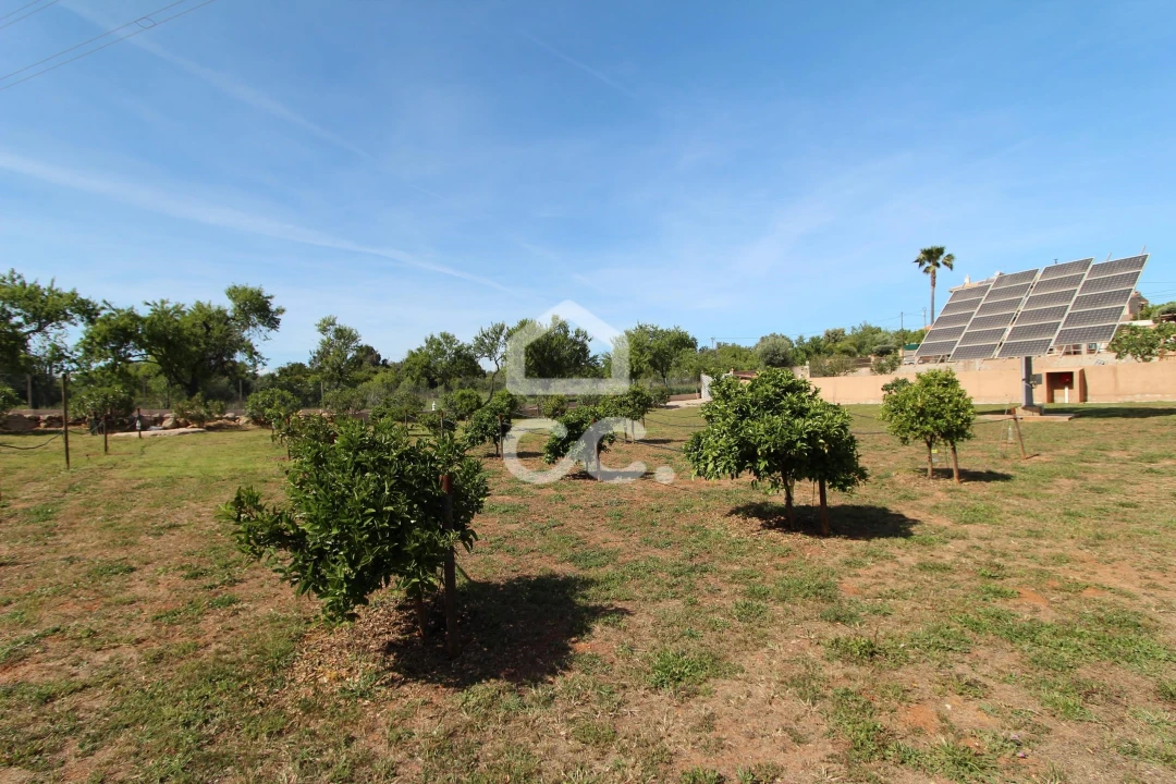 Moradia T4 para Venda em Armação de Pera Foto 37