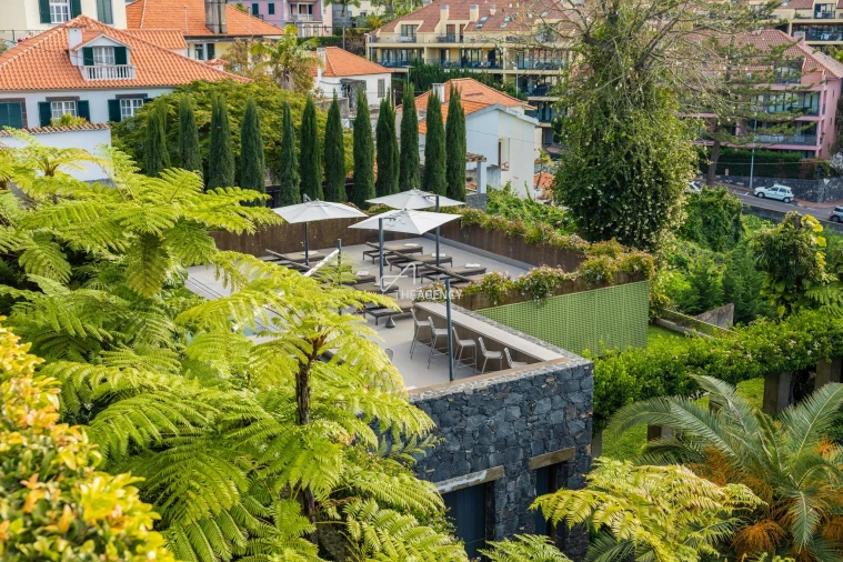 Quinta T13 para Venda em Funchal (Santa Luzia) Foto 3