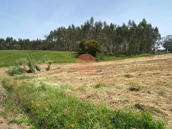 Terreno para Venda em Vidais Foto 21