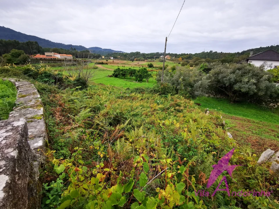 Terreno para Venda em Riba de Ancora Foto 3