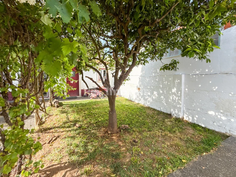 Moradia T2 para Venda em Atalaia Foto 38