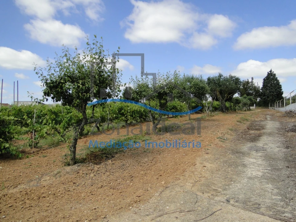 Quinta T2 para Venda em Alenquer (Santo Estêvão e Triana) Foto 37