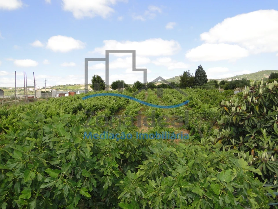 Quinta T2 para Venda em Alenquer (Santo Estêvão e Triana) Foto 34