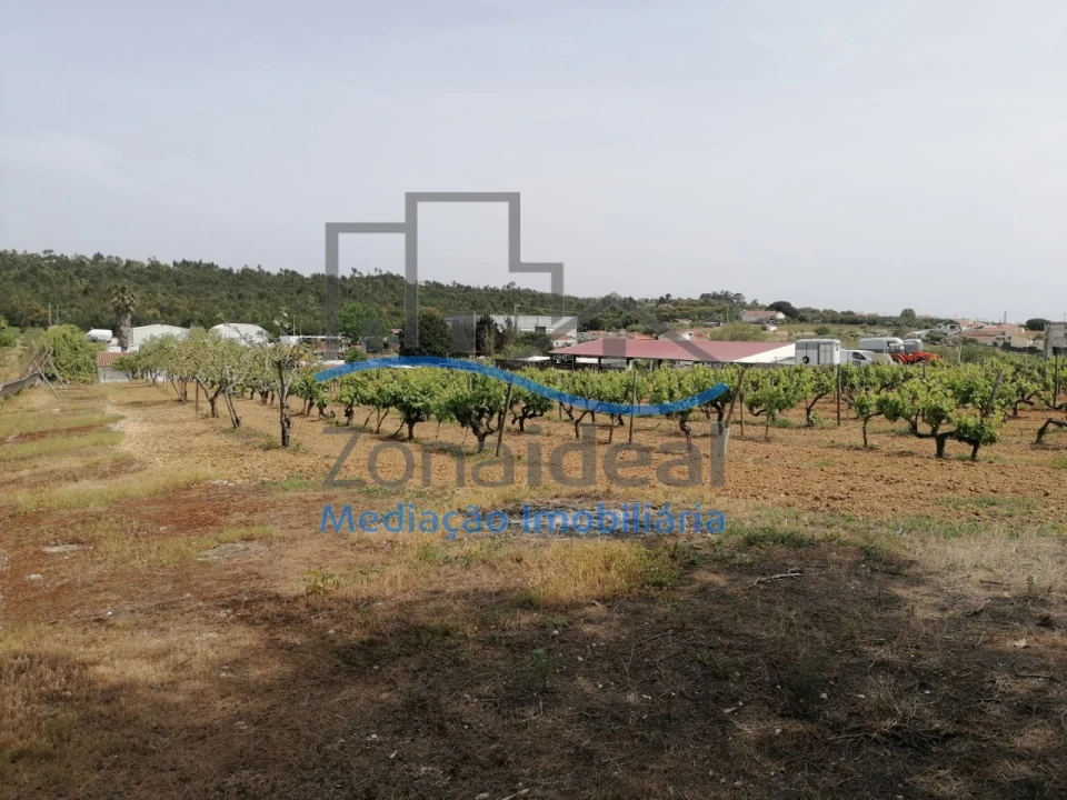 Quinta T2 para Venda em Alenquer (Santo Estêvão e Triana) Foto 36