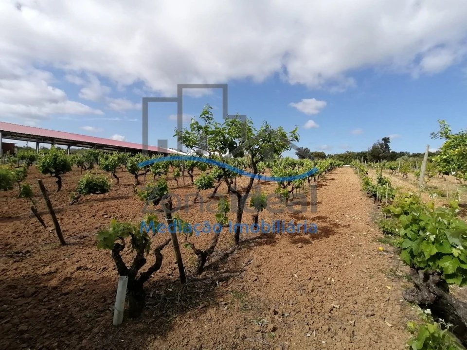 Quinta T2 para Venda em Alenquer (Santo Estêvão e Triana) Foto 33