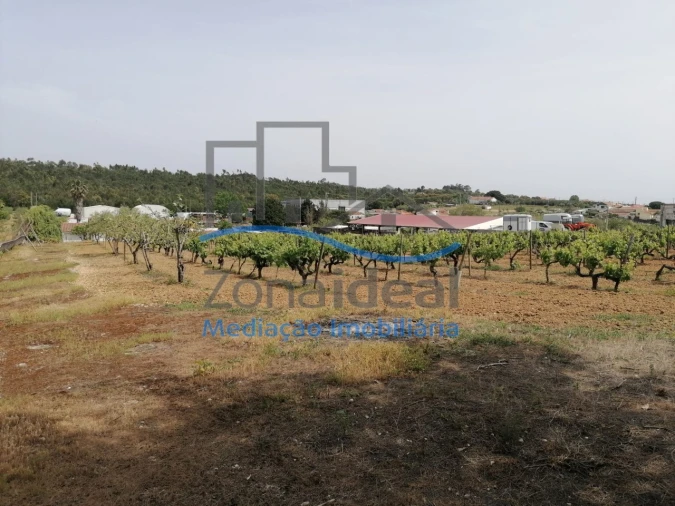 Quinta T2 para Venda em Alenquer (Santo Estêvão e Triana) Foto 36