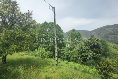 Moradia T3 para Venda em Rio Caldo