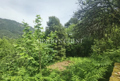 Moradia T3 para Venda em Rio Caldo