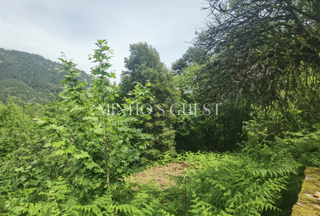 Moradia T3 para Venda em Rio Caldo Foto 3