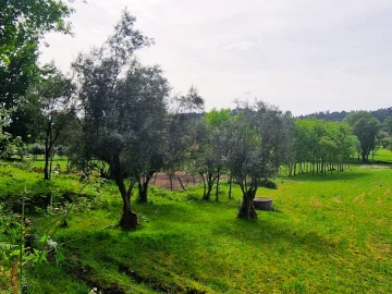 Moradia T3 para Venda em Boa Aldeia, Farminhão e Torredeita