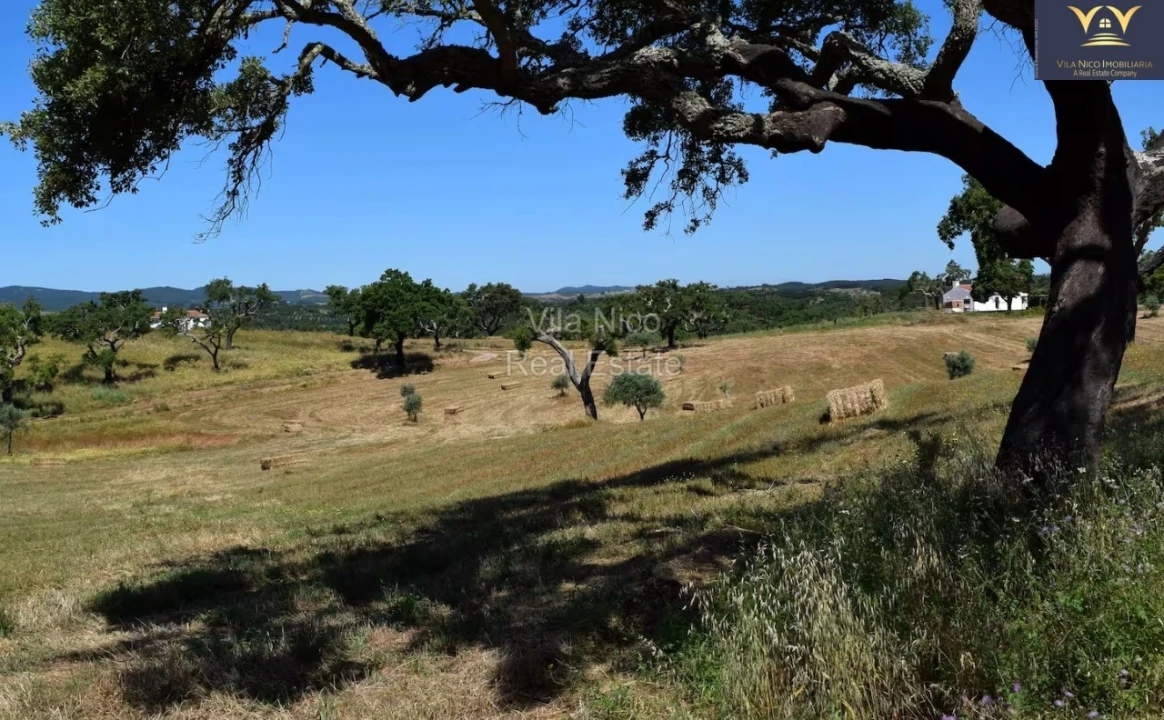 Moradia T1 para Venda em Cercal Foto 10