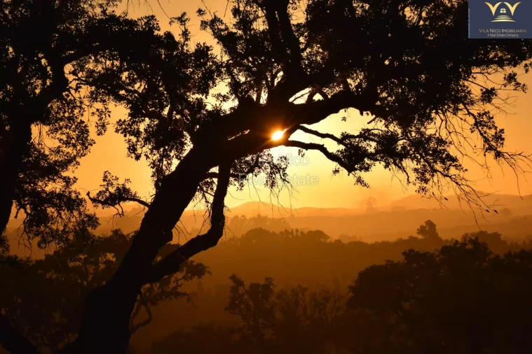 Moradia T2 para Venda em Cercal Foto 7