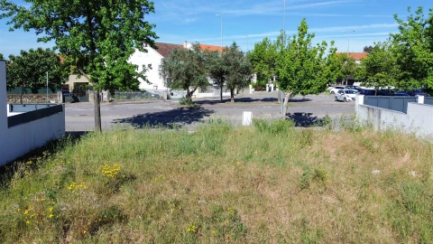Terreno para Venda em Castelo Branco