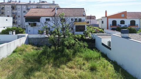 Terreno para Venda em Castelo Branco