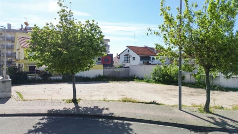 Terreno para Venda em Castelo Branco