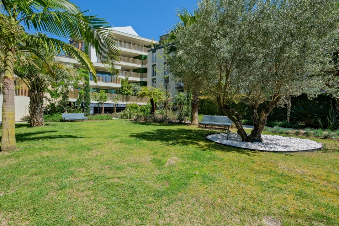 Apartamento T3 para Venda em Santo António Foto 2