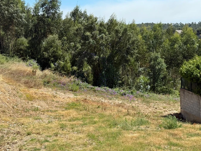 Terreno para Venda em Fânzeres e São Pedro da Cova Foto 4
