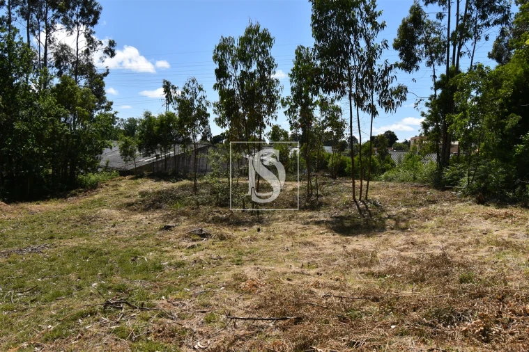 Terreno para Venda em Serzedo e Perosinho Foto 12