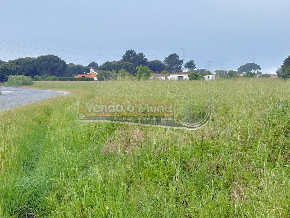 Terreno para Venda em Samora Correia Foto 11