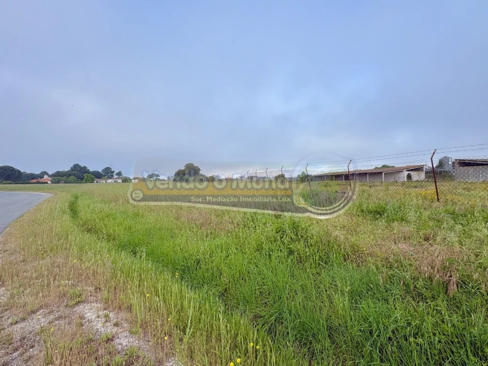Terreno para Venda em Samora Correia Foto 6