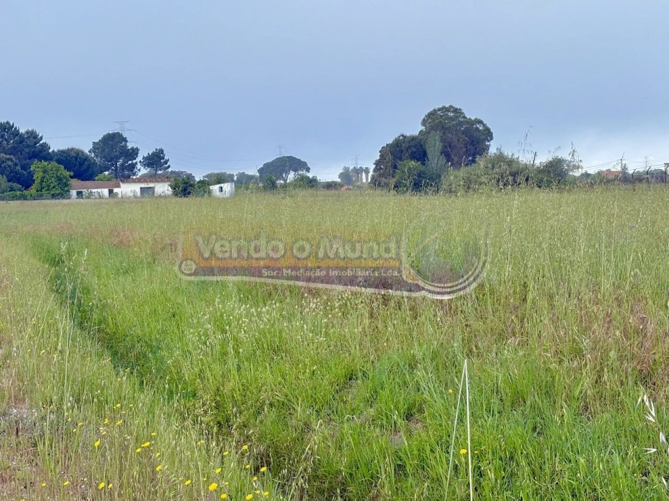 Terreno para Venda em Samora Correia Foto 10