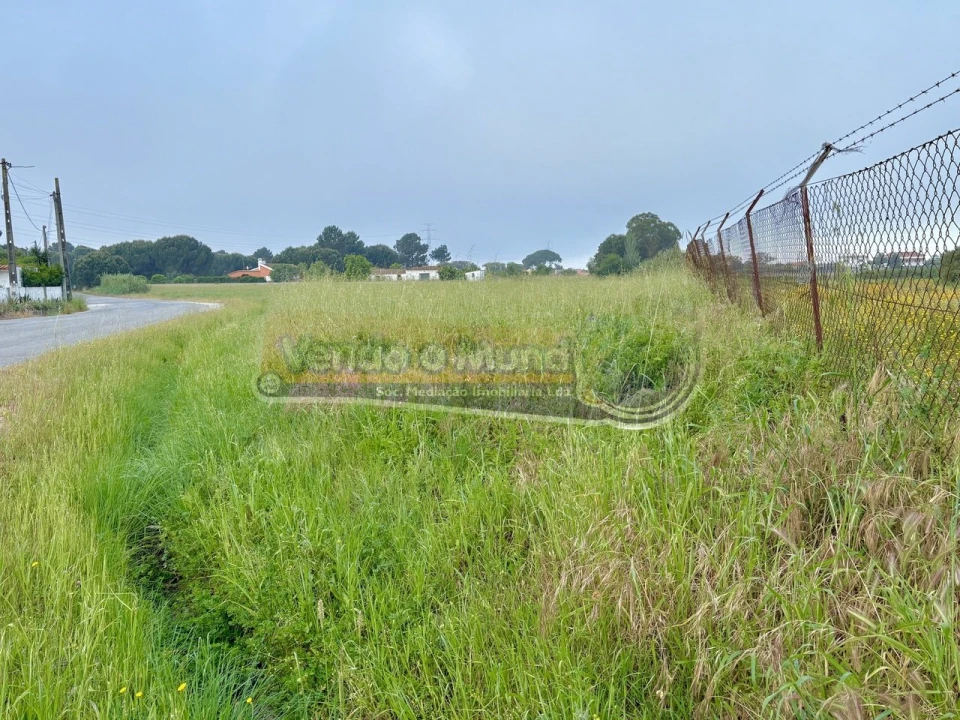 Terreno para Venda em Samora Correia Foto 9
