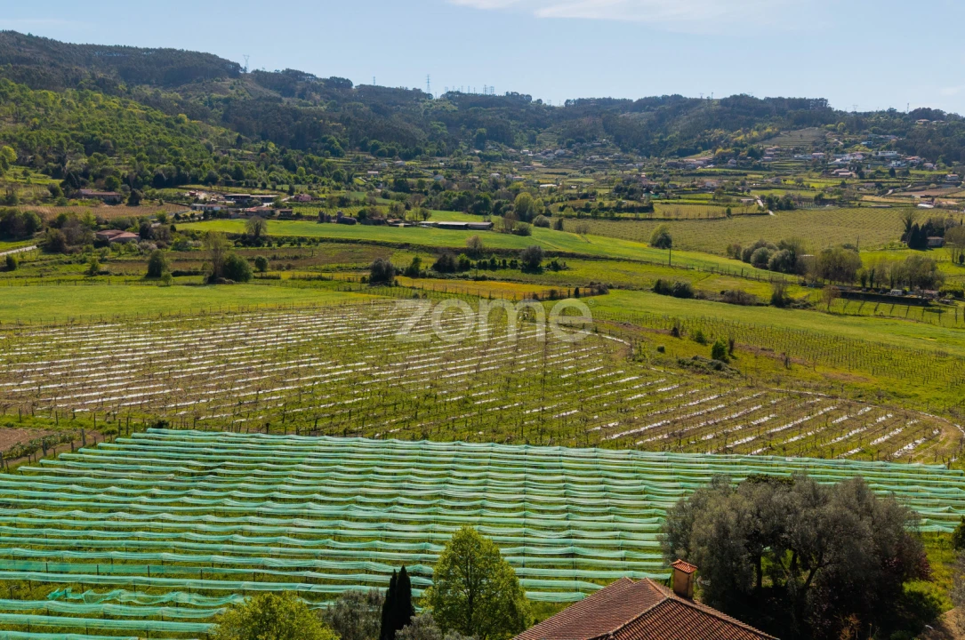 Quinta T4 para Venda em Geraz do Minho Foto 38