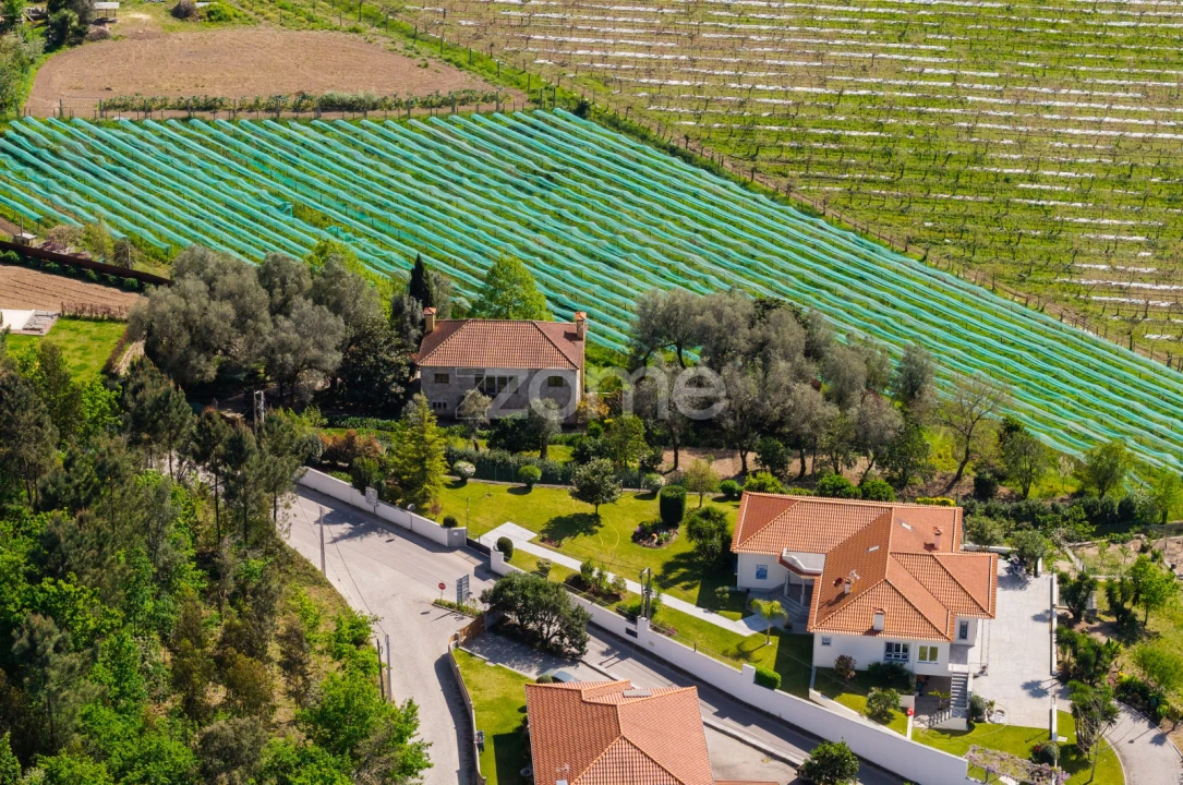 Quinta T4 para Venda em Geraz do Minho Foto 3