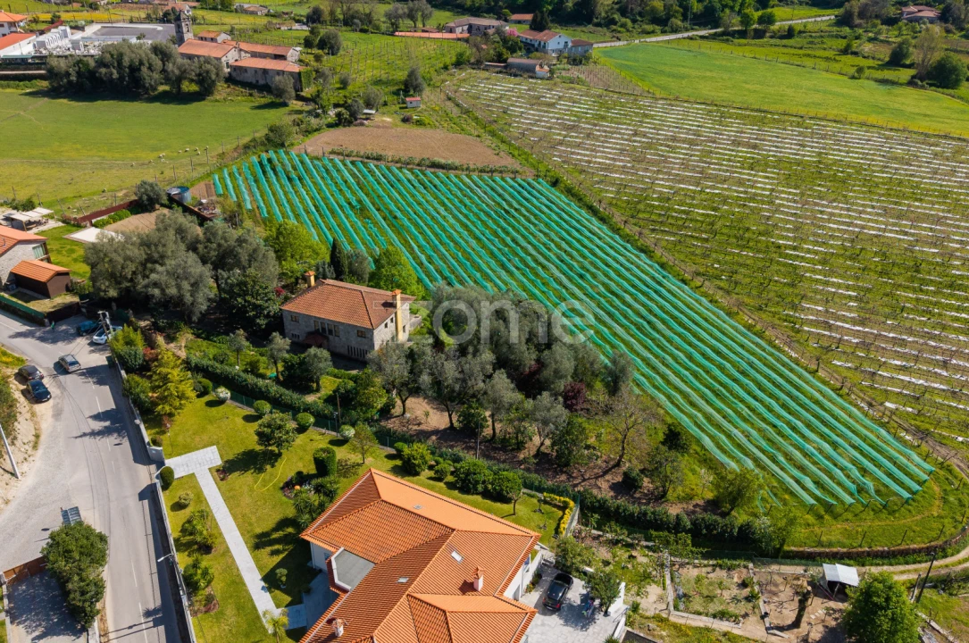 Quinta T4 para Venda em Geraz do Minho Foto 1