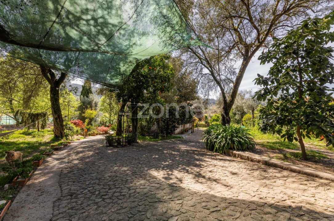 Quinta T4 para Venda em Geraz do Minho Foto 4