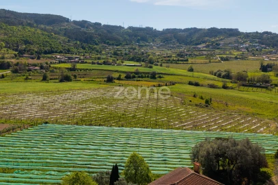 Quinta T4 para Venda em Geraz do Minho