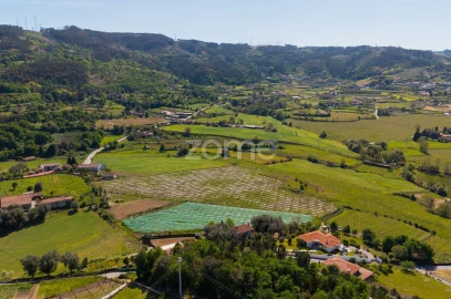 Quinta T4 para Venda em Geraz do Minho