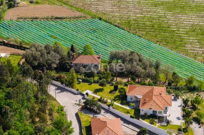 Quinta T4 para Venda em Geraz do Minho
