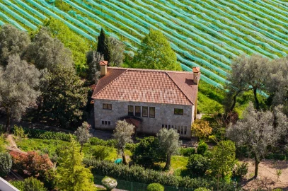 Quinta T4 para Venda em Geraz do Minho